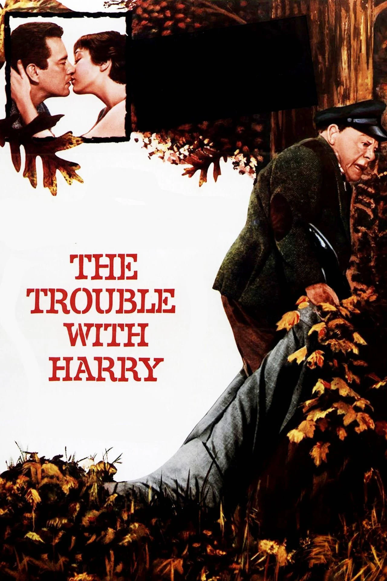 Nỗi Phiền Toái Về Harry